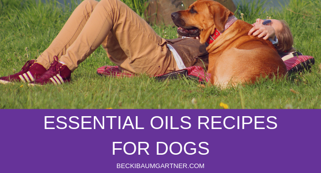My Favorite Essential Oils Recipes for Dogs