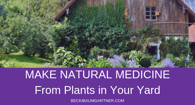 How to Wildcraft Herbs from Your Yard & Make Natural Medicine