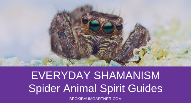 Everyday Shamanism: Spider Animal Spirit Guides, nashville shaman