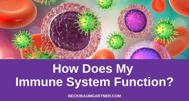 How Does My Immune System Function?