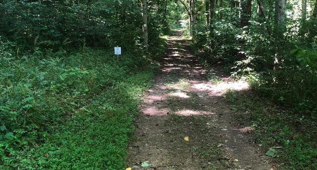 Trail at Larkspur Conservation