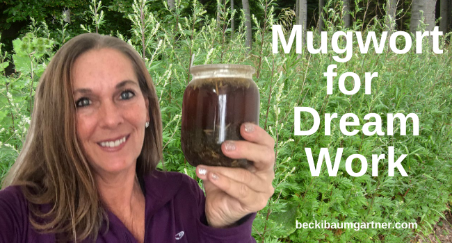 Using Mugwort for Dream Work