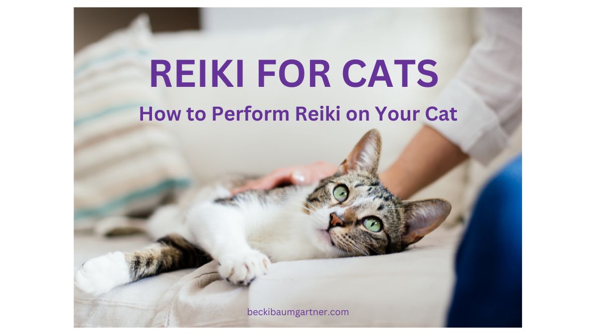 Reiki for Cats: How to Perform Reiki on Your Cat