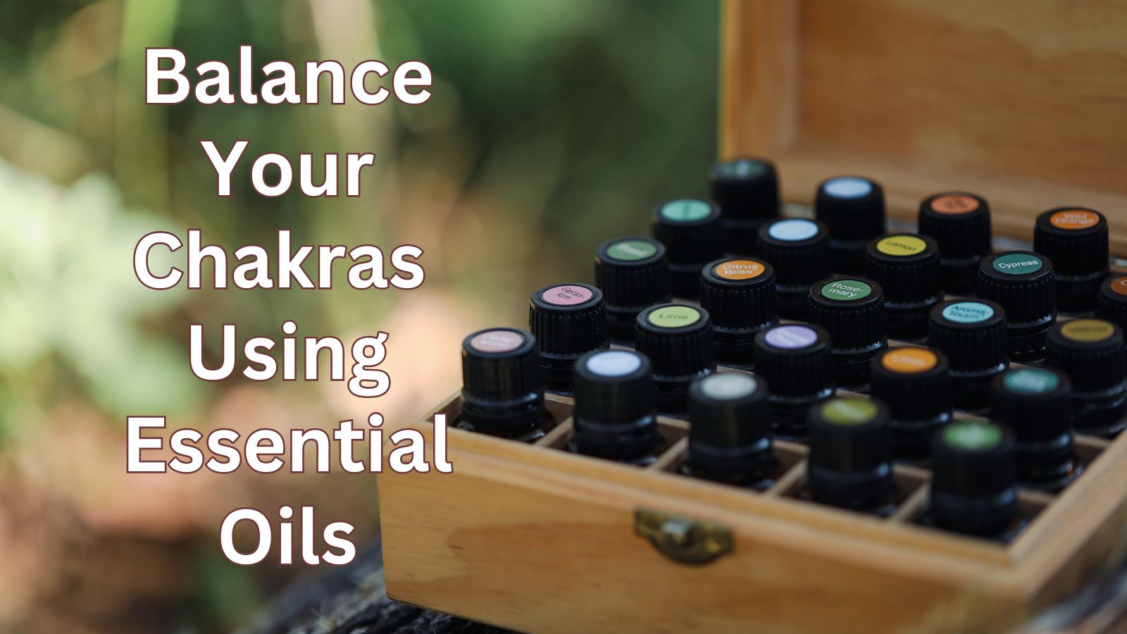 How to Balance Your Chakras Using Essential Oils Class in Nashville TN